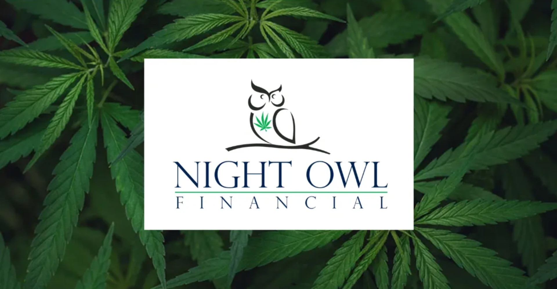 Read more about the article Night Owl Financial – Leading Accounting & Bookkeeping Services