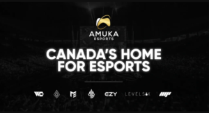 Investment Opportunity From Amuka Esports